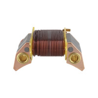 Zündspule Stator 30W Pionier 21, 23